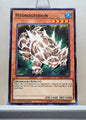 Yugioh! Legendary Duelists Singles (LEDU - Common) 1st Edition