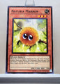 Yugioh! Photon Shockwave Singles (PHSW - Common) 1st/Unli Edition