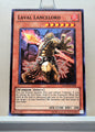 Yugioh! Photon Shockwave Singles (PHSW - Common) 1st/Unli Edition