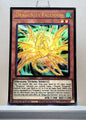 Yugioh! 1x Dragunity Falchion (BLGG - Ultra Rare) 1st Edition