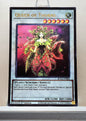 Yugioh! 1x Queen of Thorns (BLGG - Ultra Rare) 1st Edition