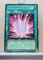Yugioh! Structure Deck: Zombie World Singles (SDZW - Common) 1st Edition