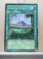 Yugioh! Structure Deck: Dinosaur's Rage Singles (SD09 - Common) 1st Edition