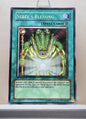 Yugioh! Structure Deck: Dinosaur's Rage Singles (SD09 - Common) 1st Edition