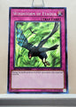 Yugioh! 1x Windstorm of Etaqua (DEM6 - Common) Unli Edition