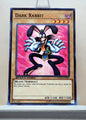 Yugioh! 1x Dark Rabbit (DEM6 - Common) Unli Edition
