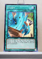 Yugioh! Galactic Overlord Singles (GAOV - Common) 1st/Unli Edition