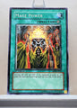 Yugioh! Structure Deck: Spellcaster's Judgment Singles (SD6 - Common) 1st Edition