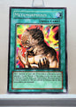 Yugioh! Pharaonic Guardian Singles (PGD - Common) 1st/Unli Edition