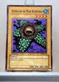Yugioh! Legend of Blue Eyes White Dragon Spanish Version Singles (LDD - Common) 1st Edition
