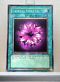 Yugioh! Legend of Blue Eyes White Dragon Spanish Version Singles (LDD - Common) 1st Edition