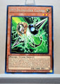 Yugioh! Toon Chaos Singles (TOCH - Rare) 1st/Unli Edition