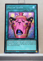 Yugioh! 1x Pot of Sloth (CORI - Secret Rare) 1st Edition