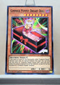 Yugioh! Legendary Duelists: Immortal Destiny Singles (LED5 - Common) 1st Edition