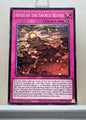 Yugioh! Chaos Origins Singles (CORI - Common) 1st Edition