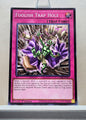 Yugioh! Chaos Origins Singles (CORI - Common) 1st Edition