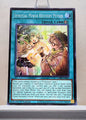 Yugioh! Chaos Origins Singles (CORI - Common) 1st Edition