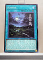 Yugioh! Chaos Origins Singles (CORI - Common) 1st Edition