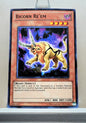 Yugioh! Duelist Revolution Singles (DREV - Common) Unli Edition