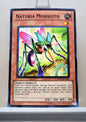 Yugioh! Duelist Revolution Singles (DREV - Common) Unli Edition