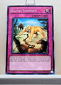 Yugioh! Duelist Revolution Singles (DREV - Common) Unli Edition