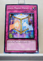 Yugioh! Duelist Revolution Singles (DREV - Common) Unli Edition