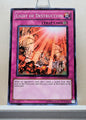 Yugioh! Duelist Revolution Singles (DREV - Common) Unli Edition