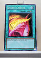 Yugioh! Duelist Revolution Singles (DREV - Common) Unli Edition