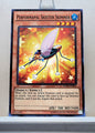 Yugioh! Duelist Alliance Singles (DUEA - Common) 1st/Unli Edition