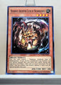 Yugioh! Duelist Alliance Singles (DUEA - Common) 1st/Unli Edition