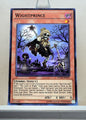 Yugioh! Duelist Alliance Singles (DUEA - Common) 1st/Unli Edition