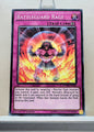 Yugioh! Duelist Alliance Singles (DUEA - Common) 1st/Unli Edition
