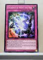 Yugioh! Duelist Alliance Singles (DUEA - Common) 1st/Unli Edition