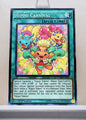 Yugioh! Duelist Alliance Singles (DUEA - Common) 1st/Unli Edition