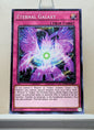 Yugioh! Soul Fusion Singles (SOFU - Common) 1st/Unli Edition
