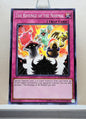 Yugioh! Soul Fusion Singles (SOFU - Common) 1st/Unli Edition