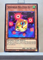 Yugioh! Legendary Arc V Decks: Speedroid Deck Singles (LAVD - Common) 1st Edition