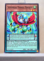 Yugioh! Legendary Arc V Decks: Speedroid Deck Singles (LAVD - Common) 1st Edition
