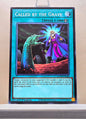 Yugioh! Legendary Arc V Decks: Odd Eyes Deck Singles (LAVD - Common) 1st Edition