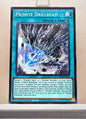 Yugioh! Legendary Arc V Decks: Odd Eyes Deck Singles (LAVD - Common) 1st Edition