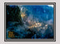 LOTR! 1x Splendor of Rivendell - Base (#51 - 2008 Lord of the Rings: Masterpieces II)