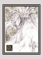 LOTR! 1x Wonder of Treebeard - Base (#63 - 2008 Lord of the Rings: Masterpieces II)