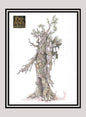 LOTR! 1x Guardians of Fangorn - Base (#66 - 2008 Lord of the Rings: Masterpieces II)